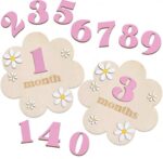 Wooden Baby Milestone Cards (1–12 Months) 🌸
