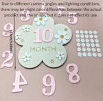 Wooden Baby Milestone Cards (1–12 Months) 🌸 - Image 3